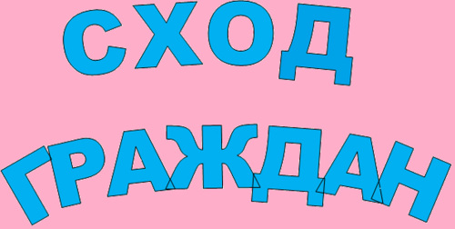 сход граждан.
